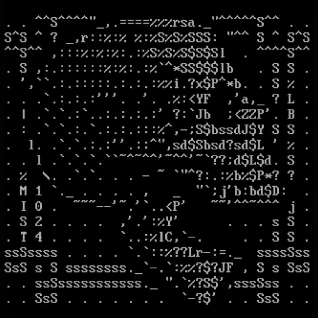 ASCII Skull